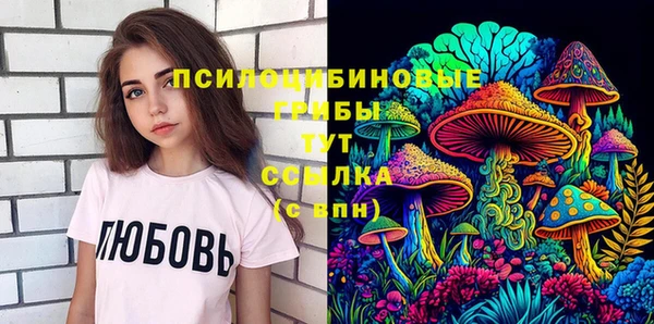 гидропоника Михайлов