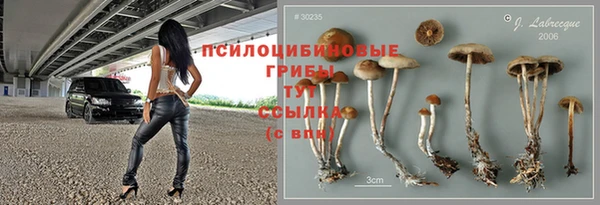 дживик Михайловка