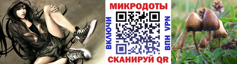 Купить  Валуйки  Галлюциногенные грибы прущие грибы 